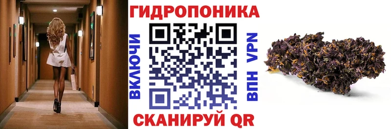 МАРИХУАНА планчик  купить закладку  Мирный 